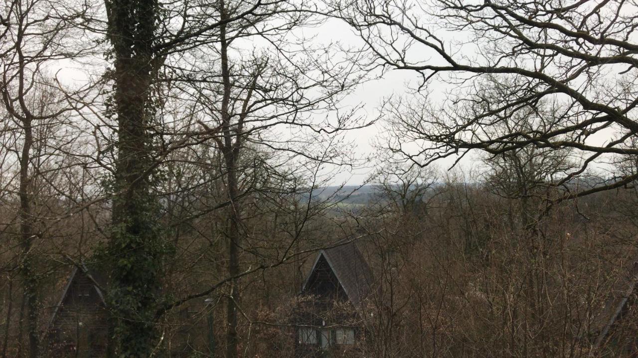 Durbuy Vakantie - Bungalow 16别墅 外观 照片